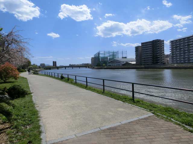 舗装された旧太田川の河川敷の写真