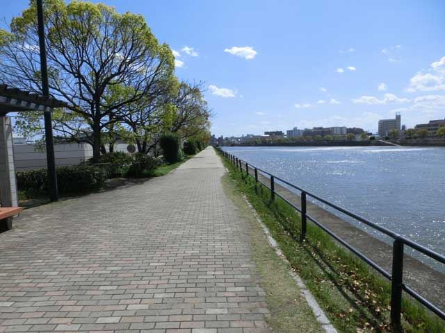 旧太田川をさらに進む写真