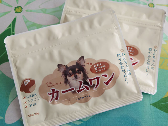 うちの犬が「常同障害」とわかってからこれまでにしたこと