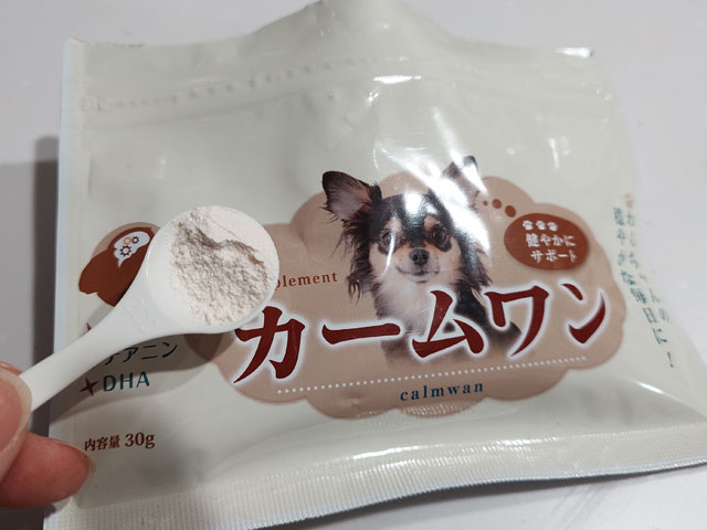 うちの犬が「常同障害」とわかってからこれまでにしたこと