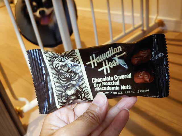 ハワイアンホーストのチョコレートの写真