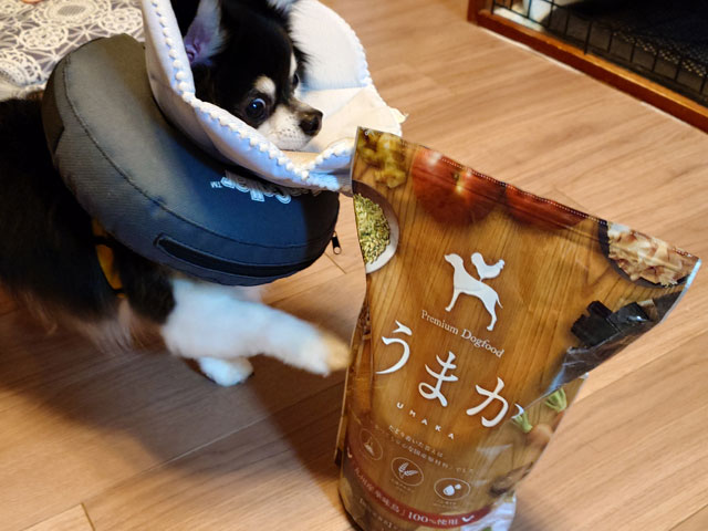 うまかとモグワン違いは何？選び方がわかる7つの比較ポイントを解説！