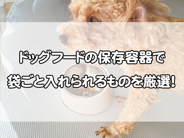 ドッグフードの保存容器で袋ごと入れられるのは？おしゃれなものや代用品も厳選