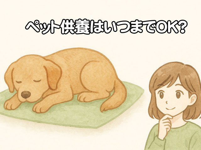 ペット供養はいつまでしていいの？自宅でできる自分らしい供養の始め方