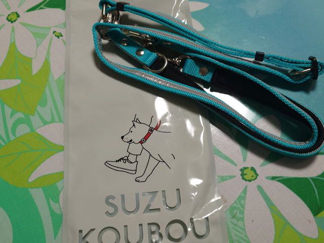 小型犬用光るリードのおすすめは？夜の散歩の安全性を高める選び方