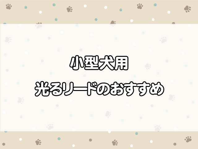 小型犬用光るリードのおすすめは？夜の散歩の安全性を高める選び方