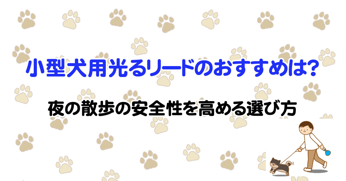 小型犬用光るリードのおすすめは？夜の散歩の安全性を高める選び方