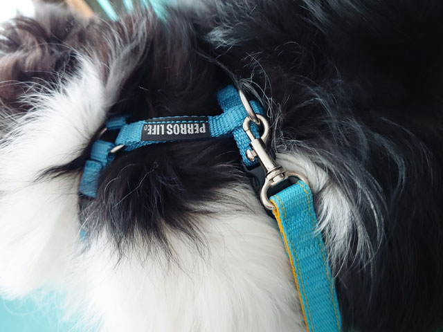 ペルロスハーネス口コミレビュー！抜けないのか実際に使ってみた使用感もご紹介！