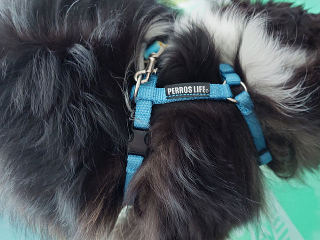 ペルロスハーネス口コミレビュー！抜けないのか実際に使ってみた使用感もご紹介！