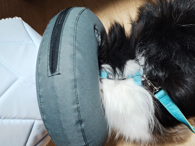 ペルロスハーネス口コミレビュー！抜けないのか実際に使ってみた使用感もご紹介！